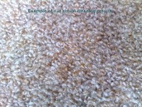 Fresh Clean Carpets 350437 Image 5